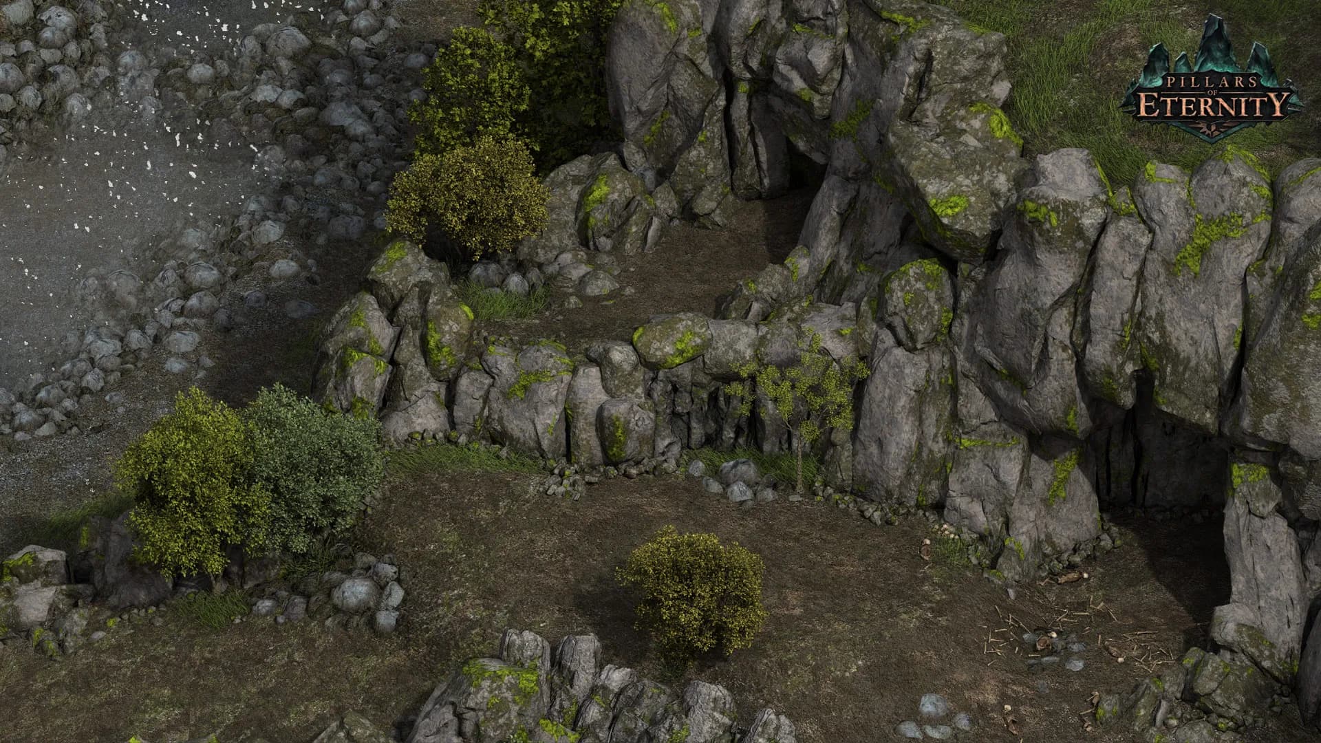 Pillars of Eternity görsel 9