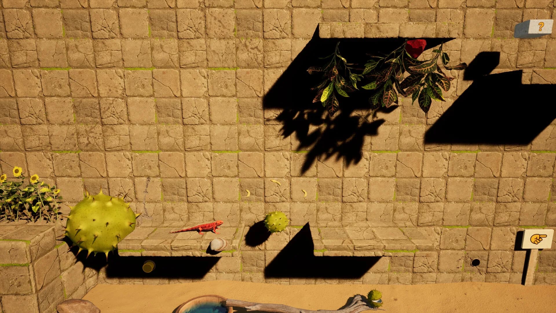 Agama versus Bugs görsel 2