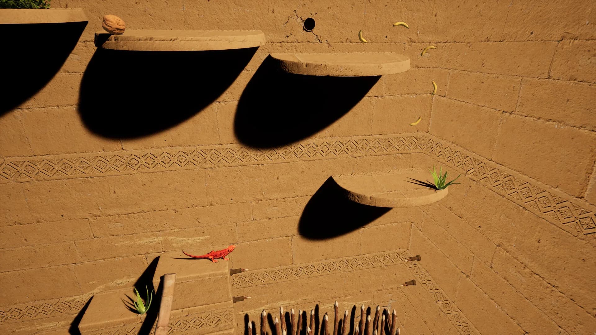 Agama versus Bugs görsel 4
