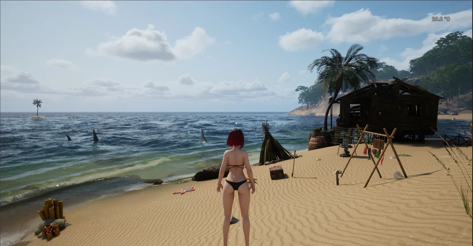 浅海漫游 görsel 3