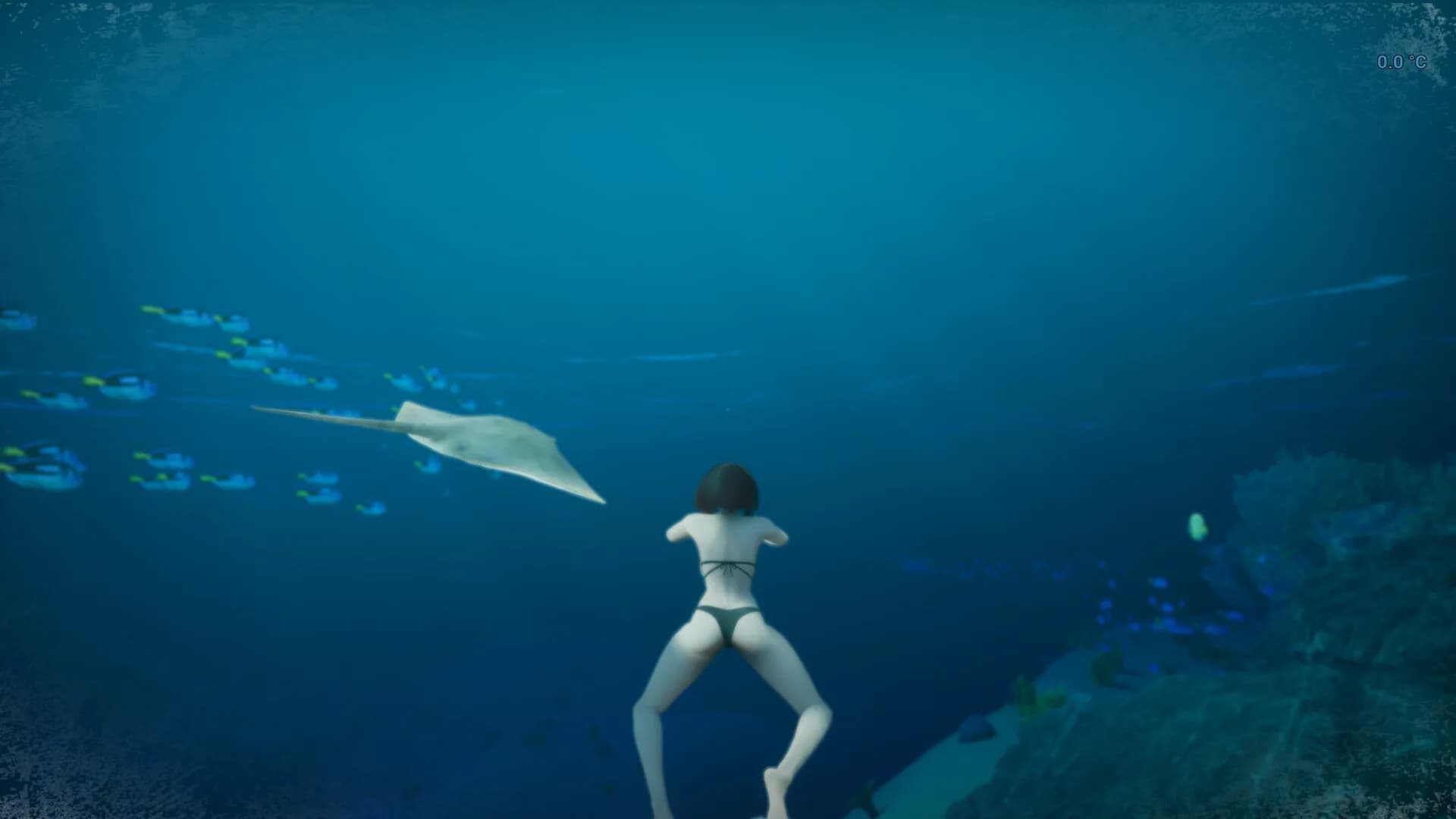 浅海漫游 görsel 7