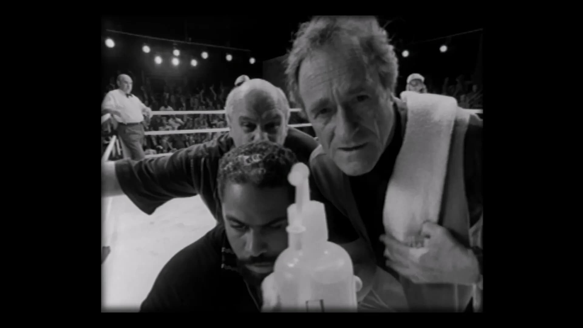 PrizeFighter - Heavyweight Edition görsel 5