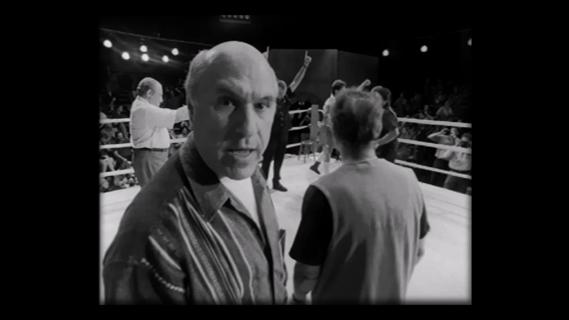 PrizeFighter - Heavyweight Edition görsel 7