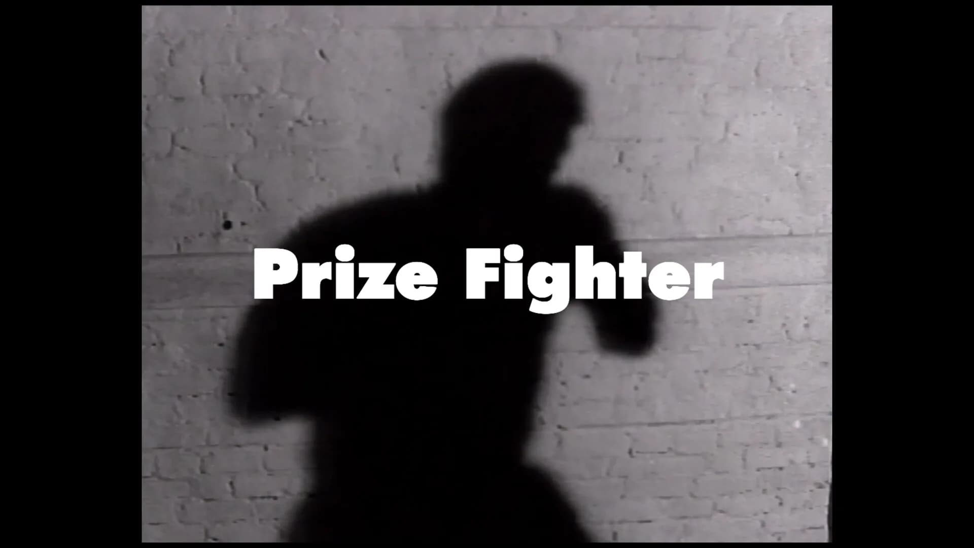 PrizeFighter - Heavyweight Edition görsel 9