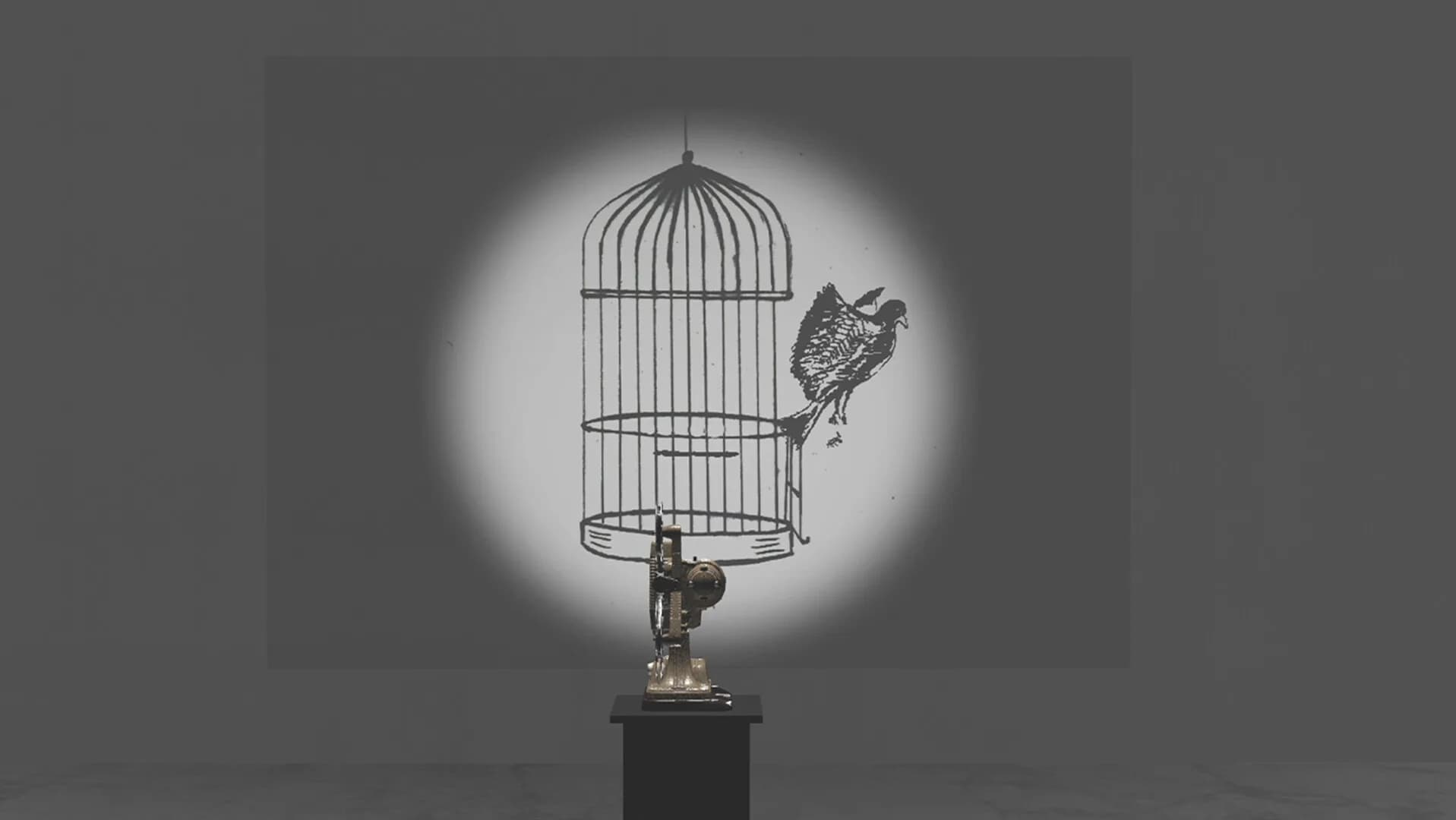 Bird görsel 11