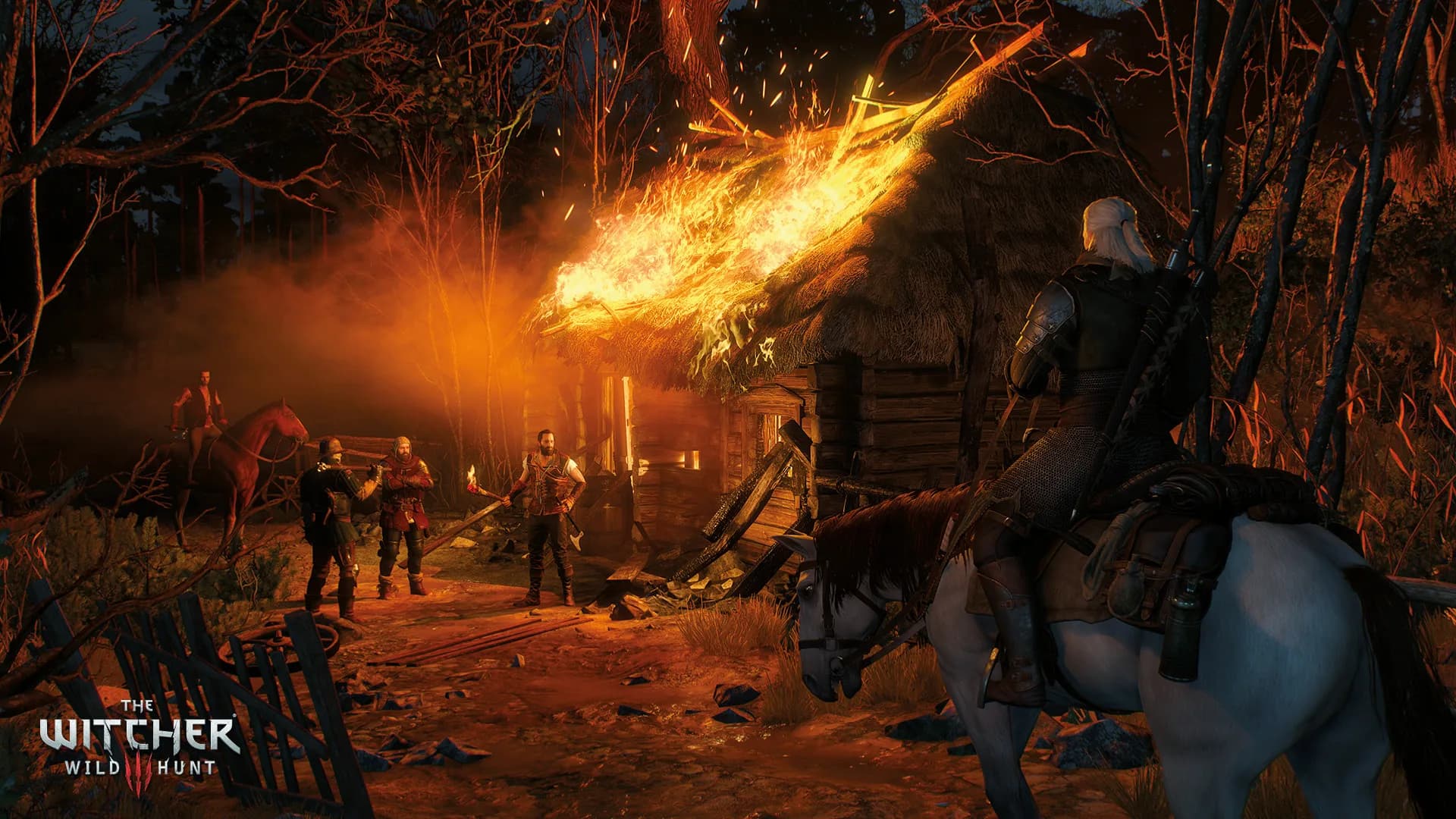 The Witcher 3: Wild Hunt görsel 16