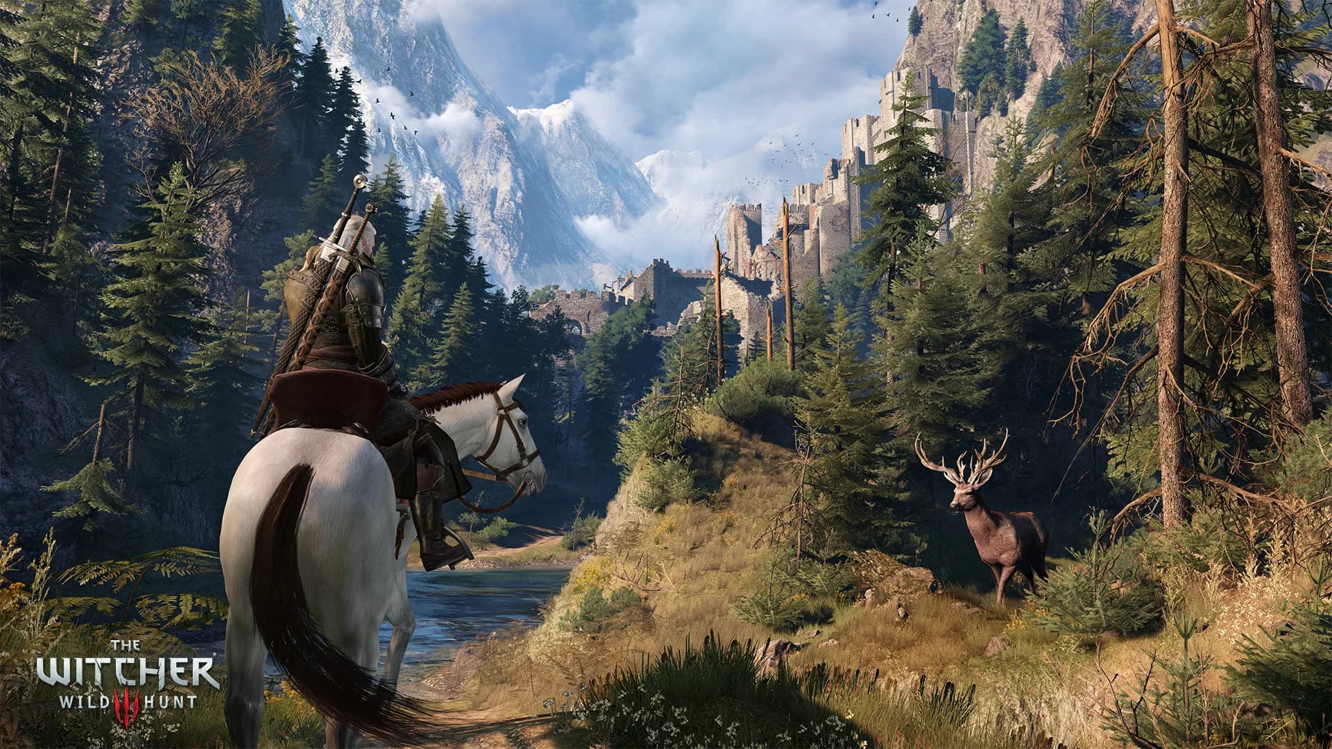 The Witcher 3: Wild Hunt görsel 18