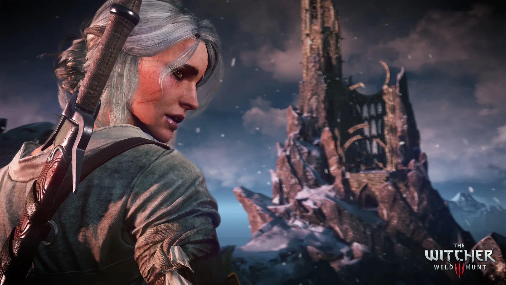 The Witcher 3: Wild Hunt görsel 10