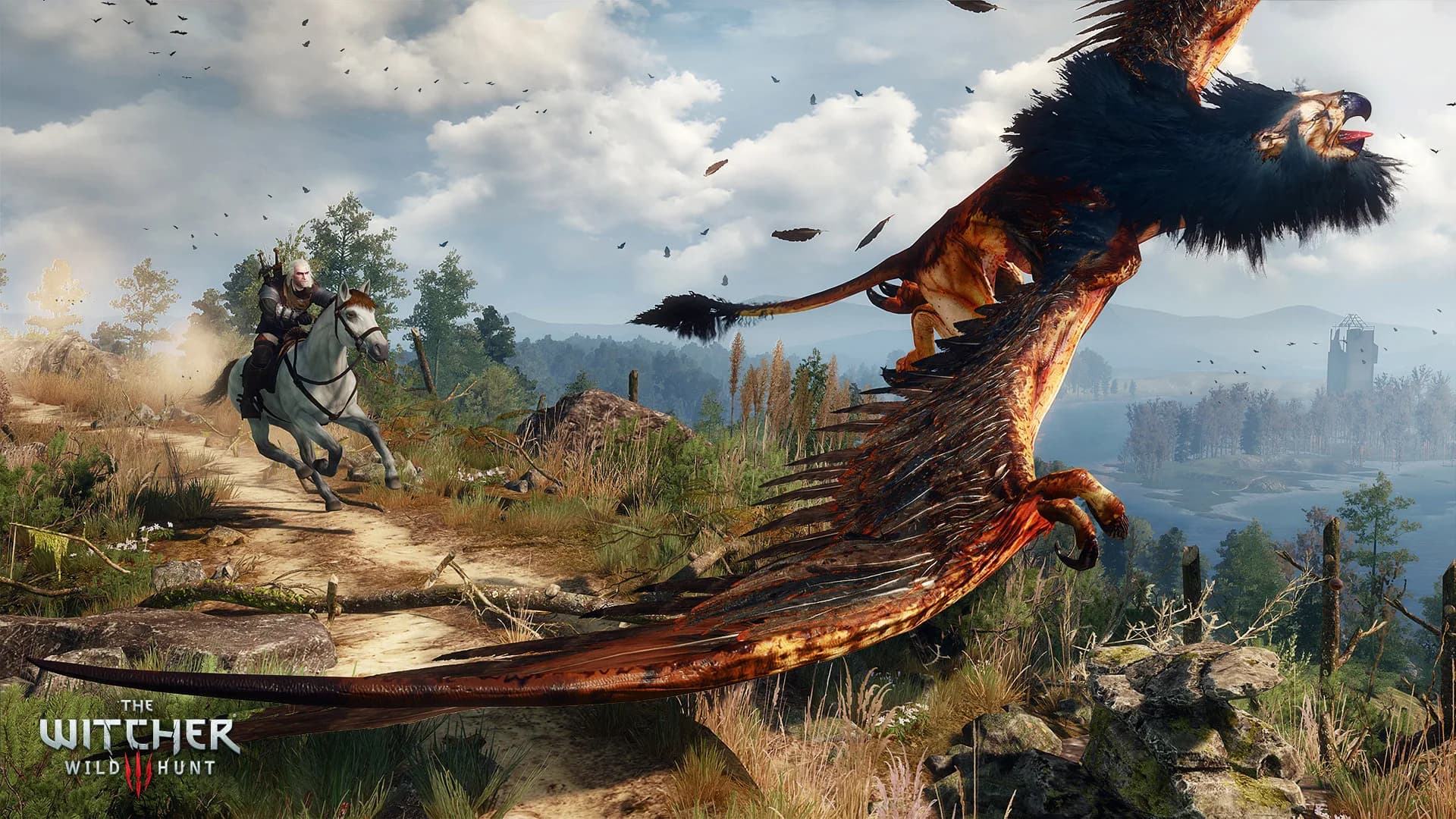 The Witcher 3: Wild Hunt görsel 11