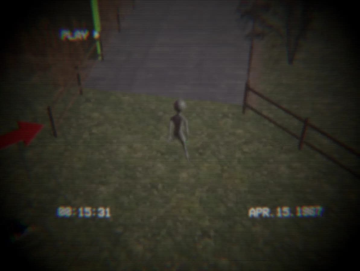 Homing Instinct görsel 3