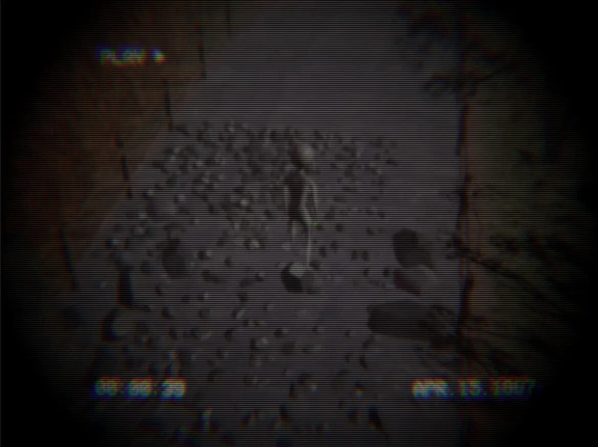 Homing Instinct görsel 4