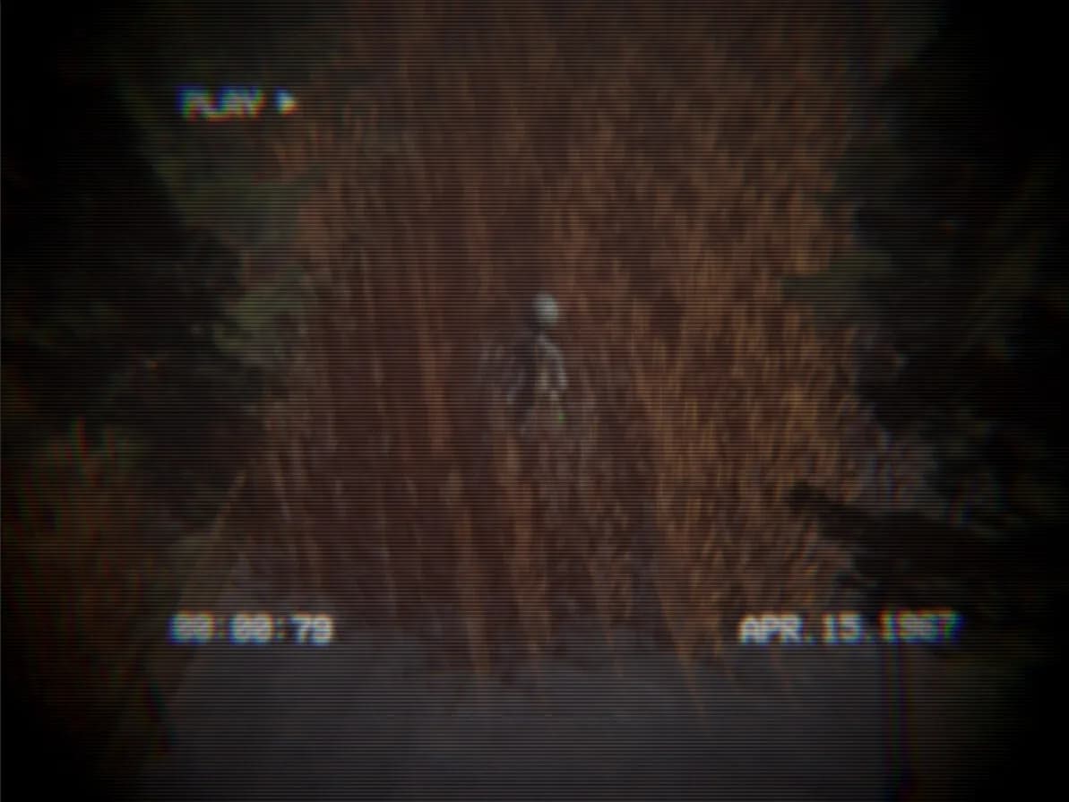 Homing Instinct görsel 6