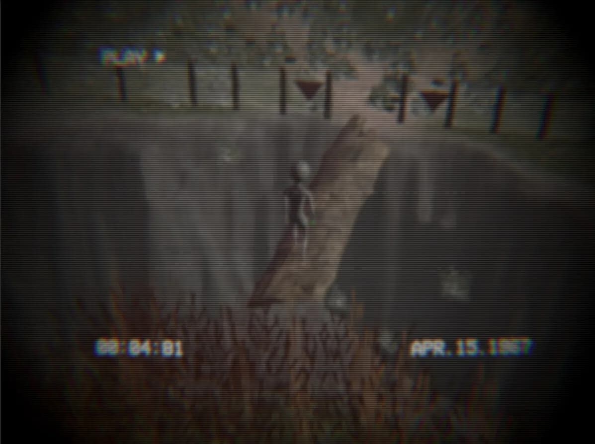 Homing Instinct görsel 7