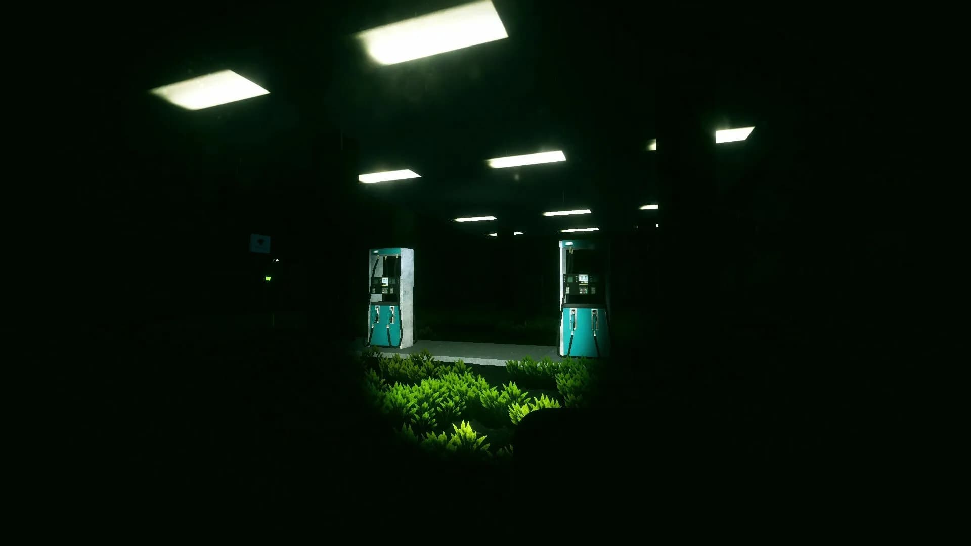 Cryptic Route görsel 8