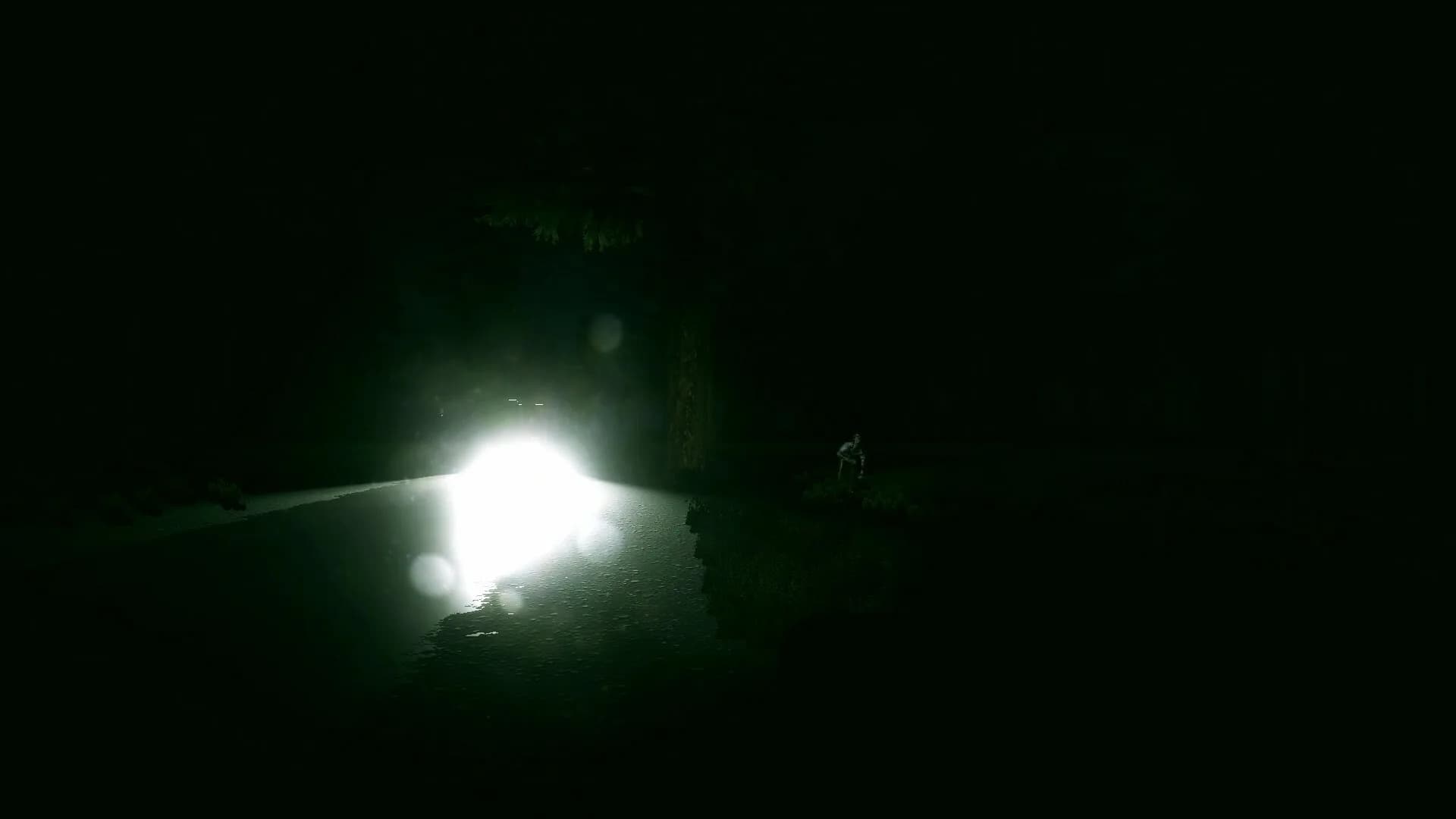 Cryptic Route görsel 11
