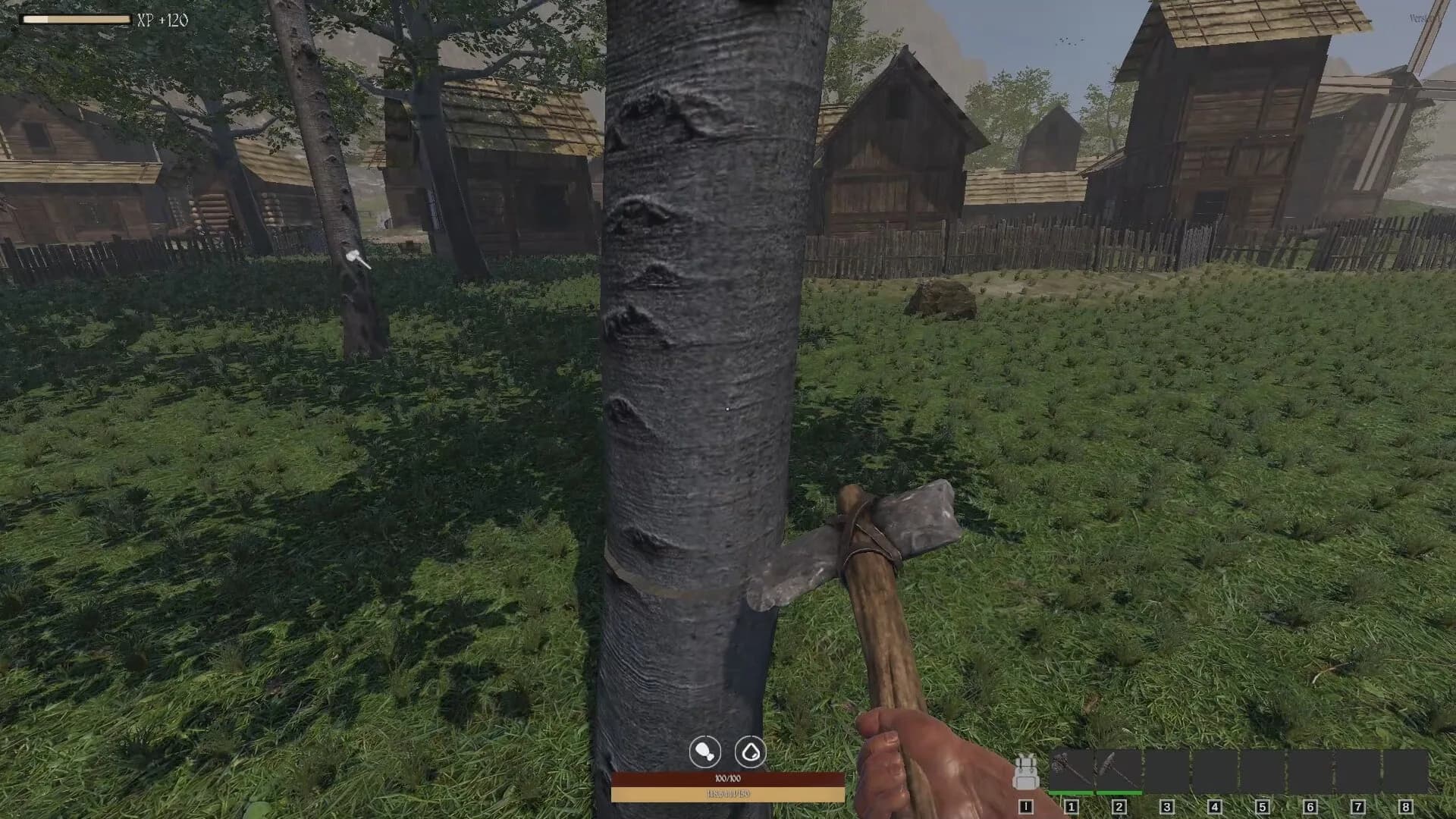 QUESTSCAPE: Survival görsel 2