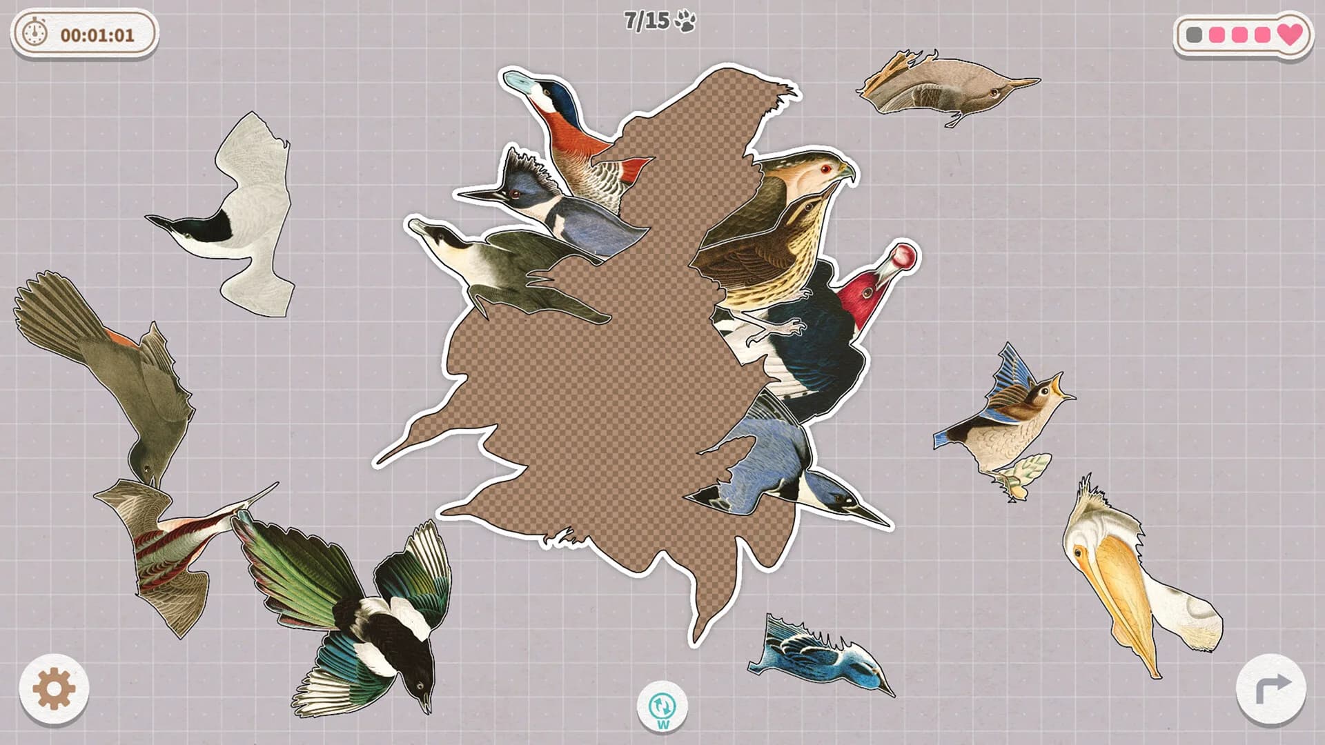 Birds Huddled Together görsel 10