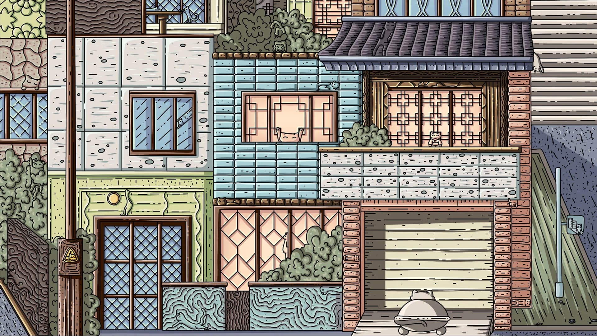 100 Korea Cats görsel 13
