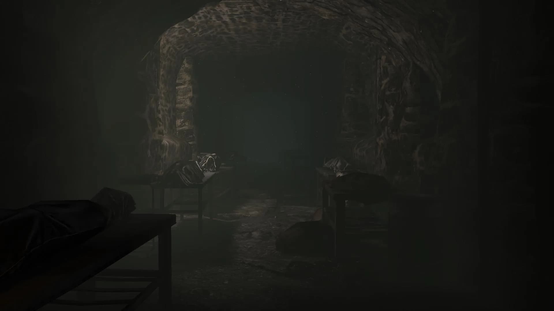 Coma: Mortuary görsel 10