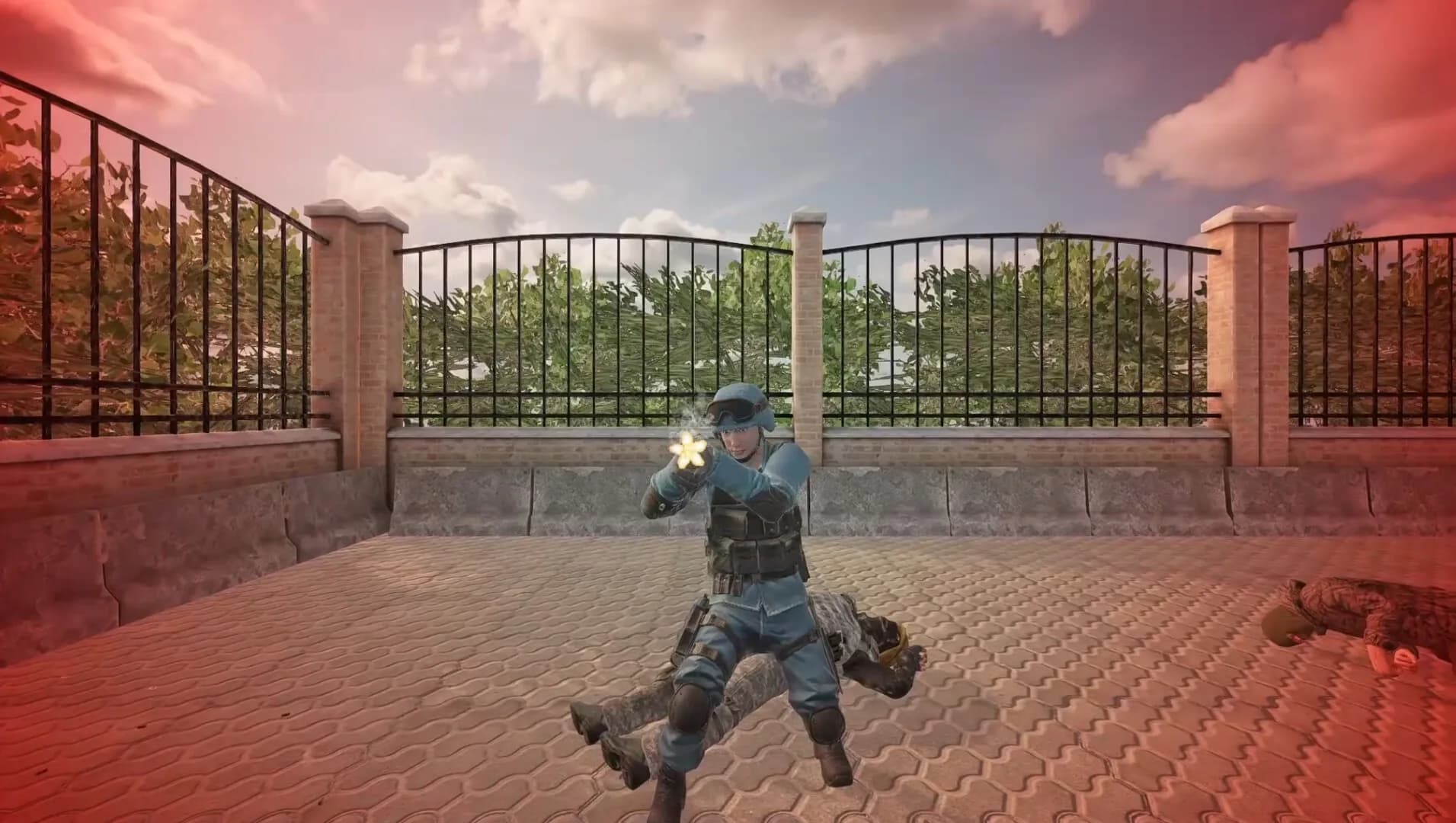 Boneless görsel 4