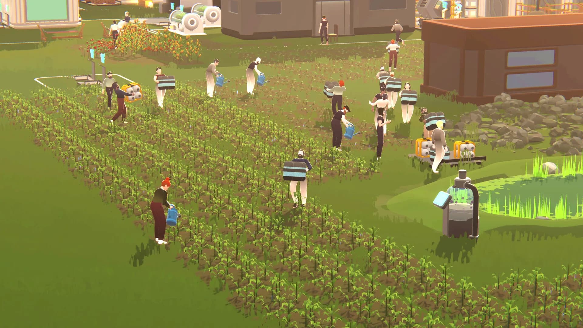 SEED görsel 3