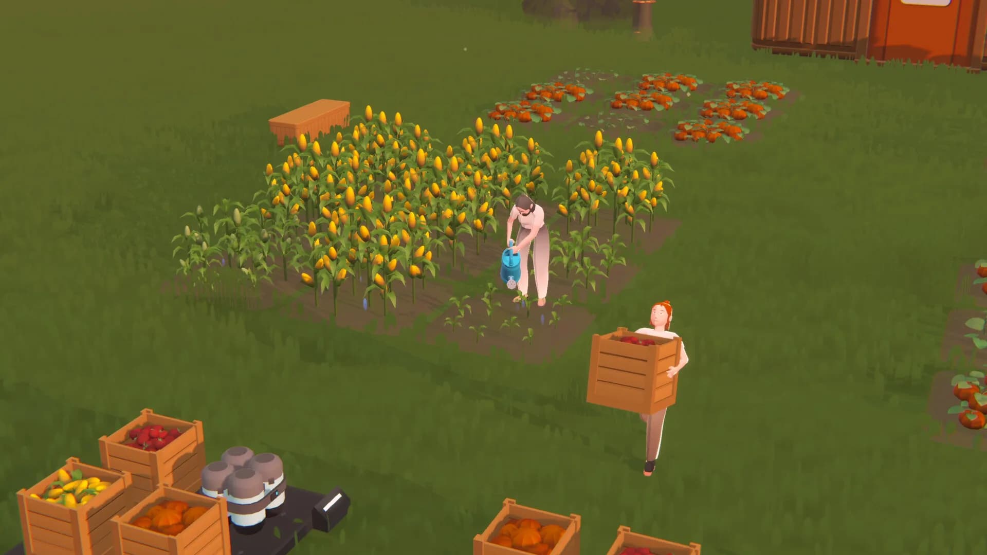 SEED görsel 6