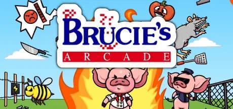 Brucie's Arcade