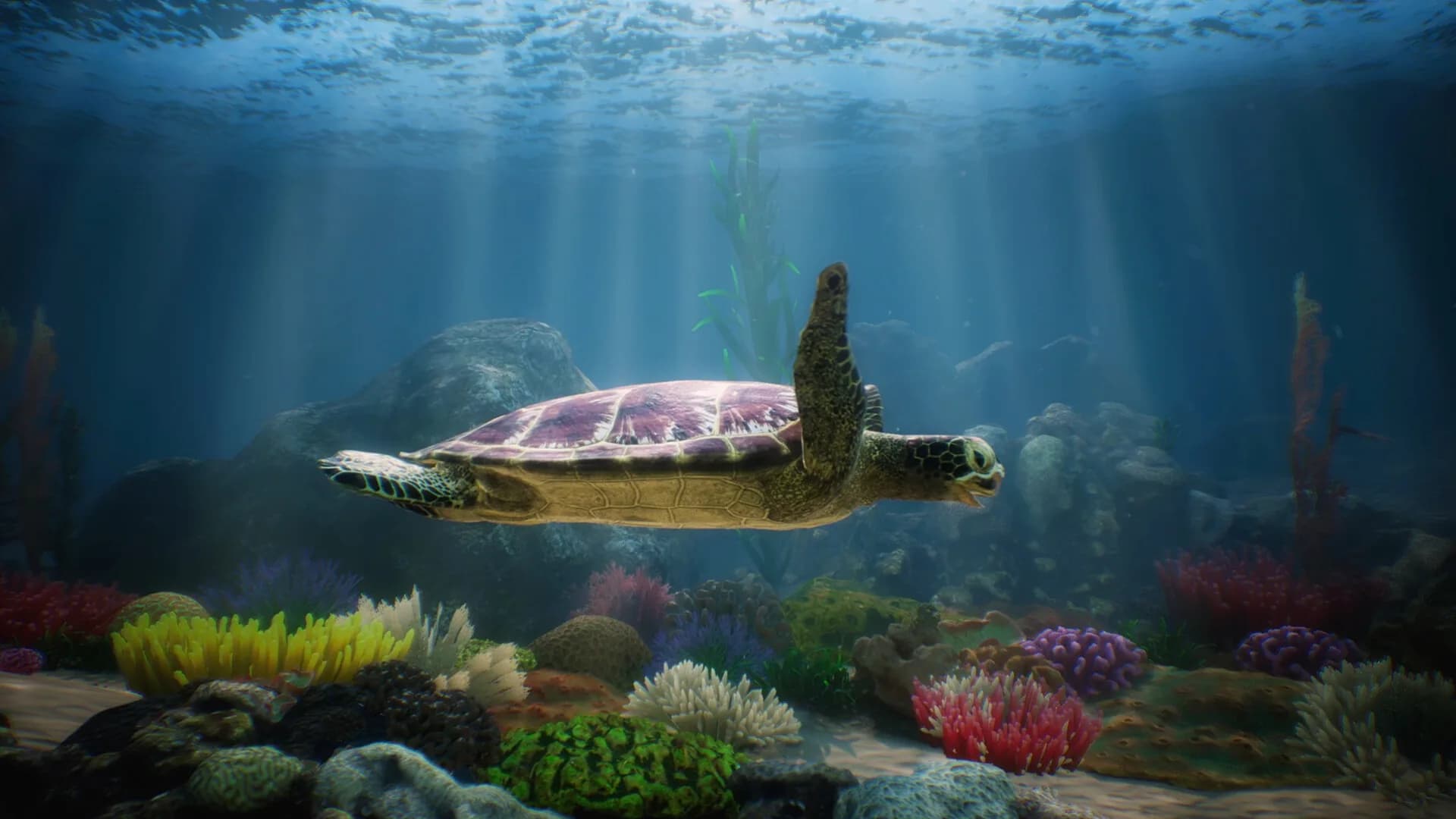 Knowledge VR Pack görsel 4