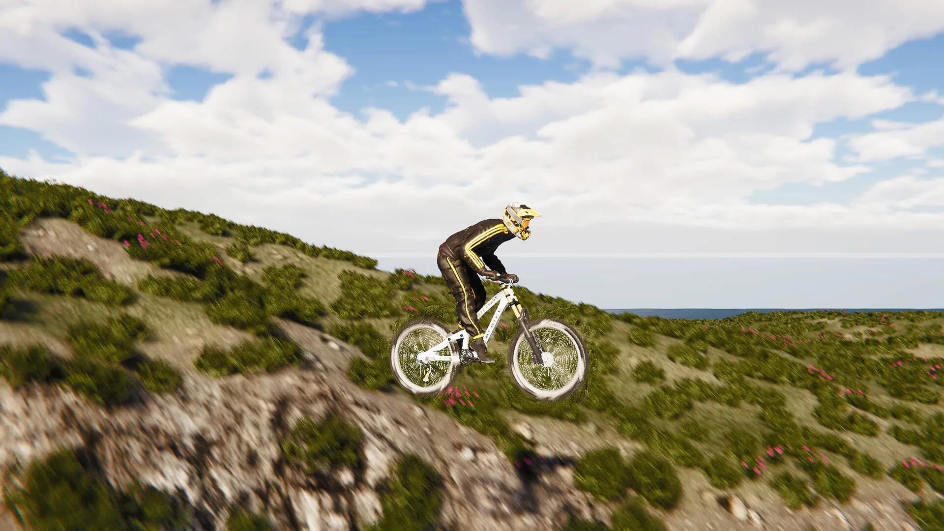 BMX Wild Run görsel 2