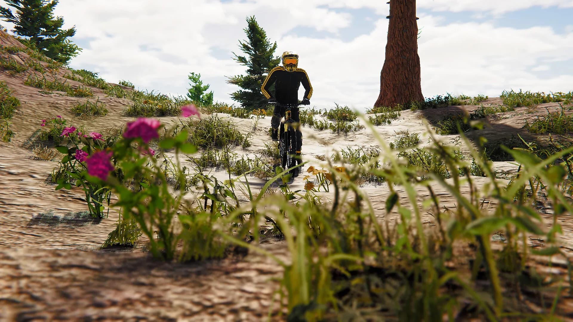 BMX Wild Run görsel 3