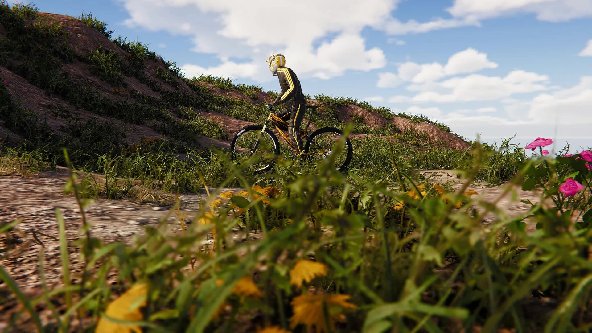 BMX Wild Run görsel 9