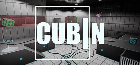 Cubin görsel 1