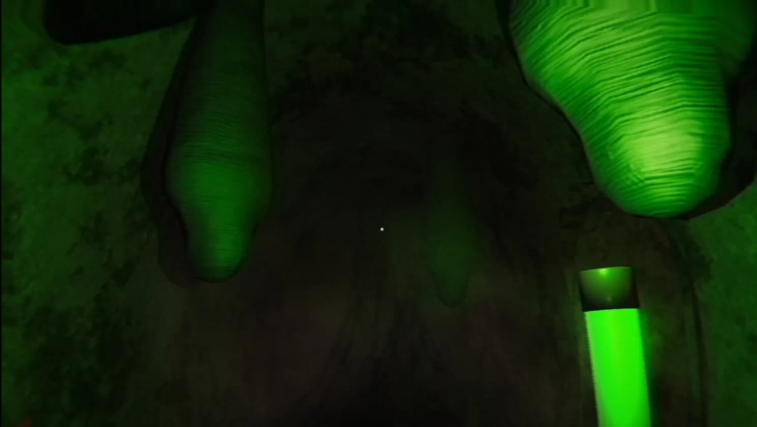 Zooparasite görsel 4