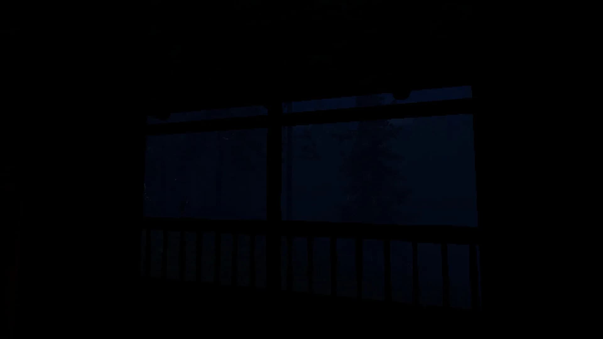 Silent Mourning görsel 6
