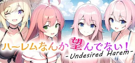 ハーレムなんか望んでない！ - Undesired Harem - görsel 1