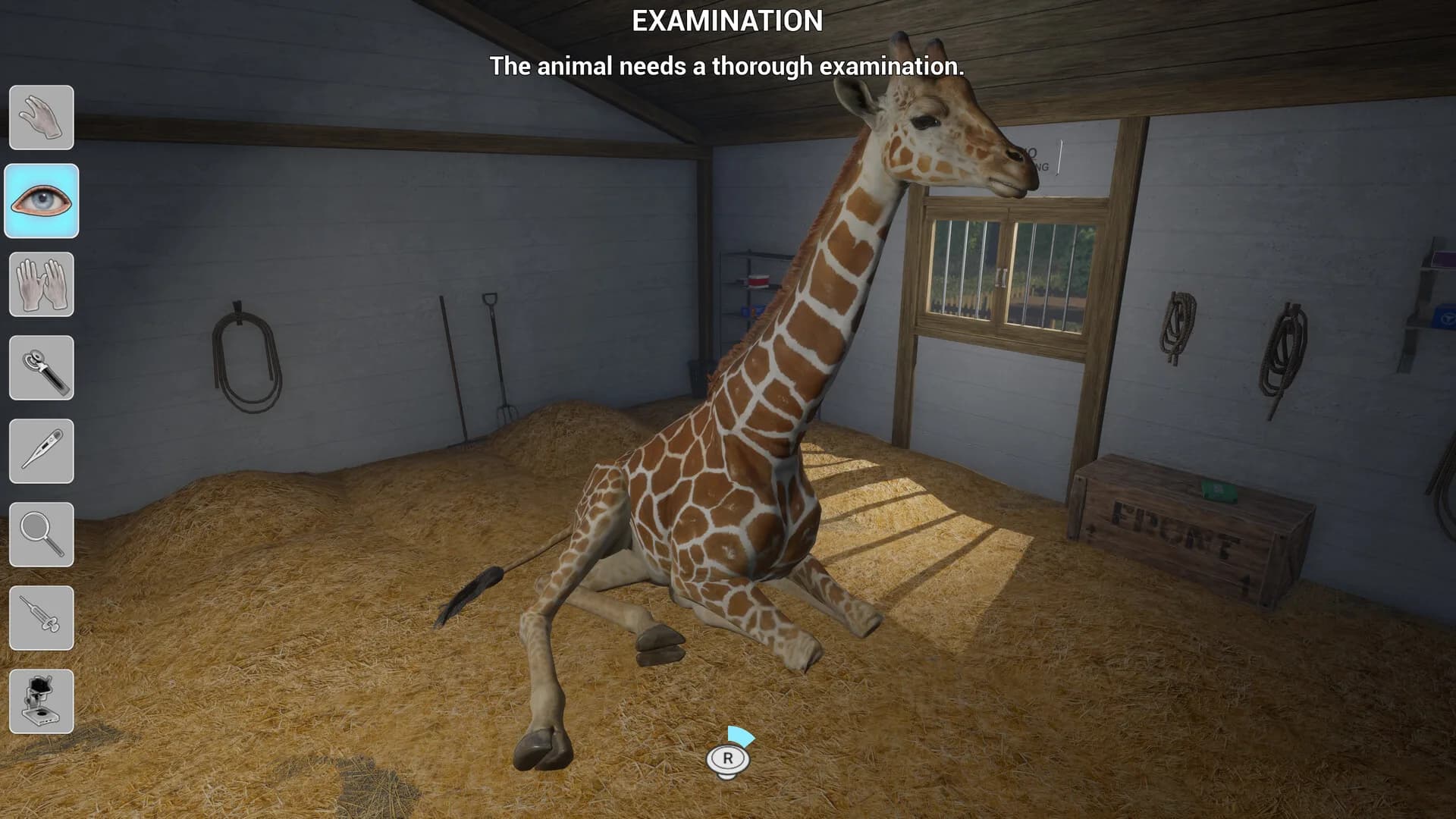 Meine Tierarztpraxis - Im Zoo (My Life: Zoo Vet) görsel 10