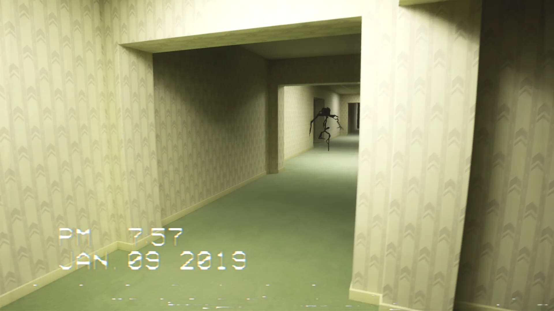 ZonZon görsel 13