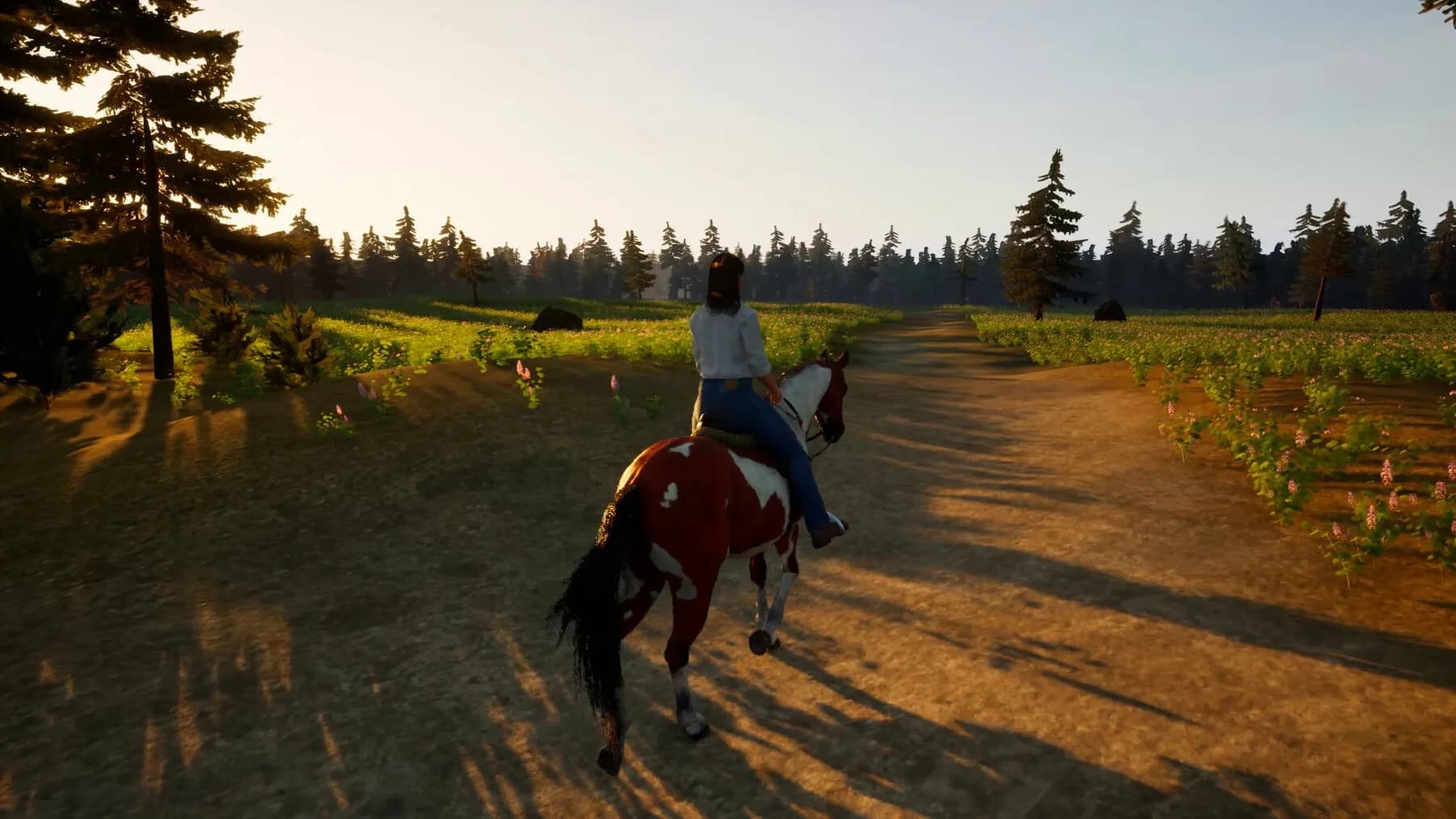 EQUIRE görsel 2