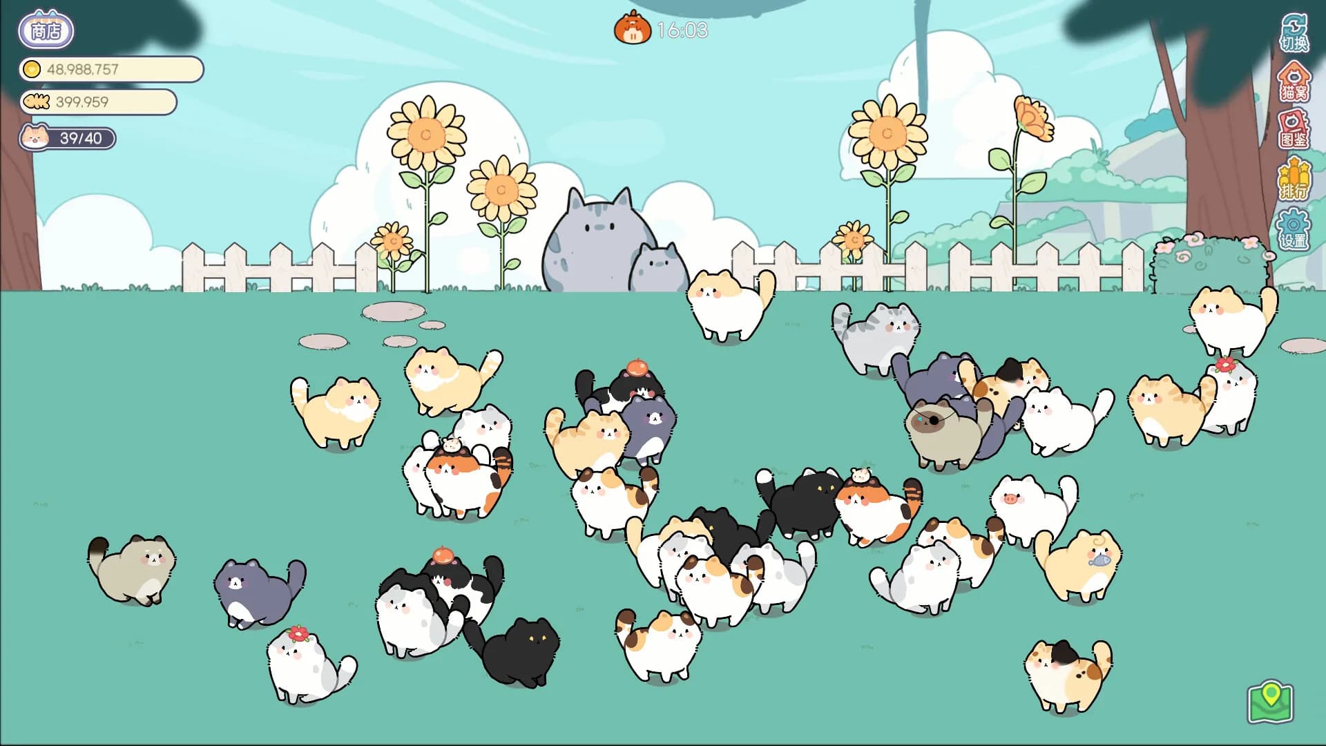 猫语拾光 Cat And Life görsel 2