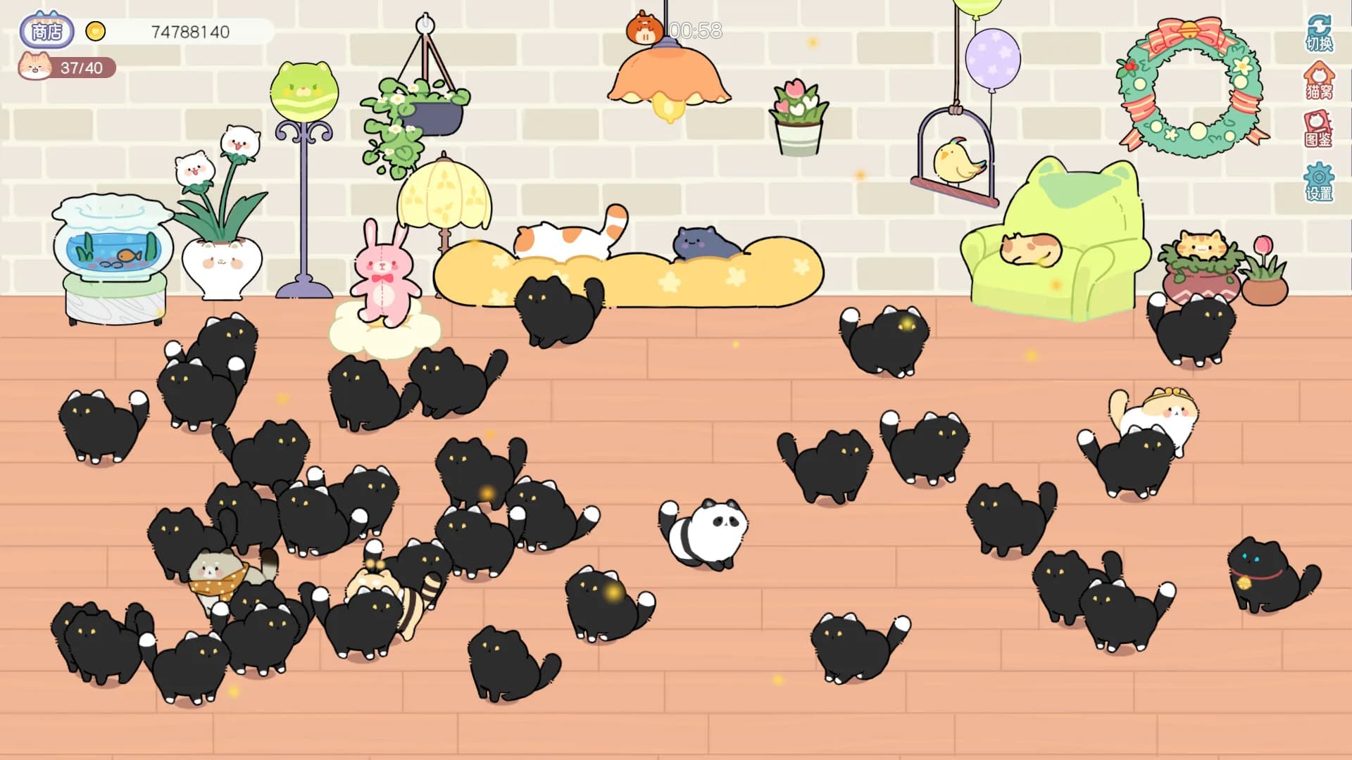 猫语拾光 Cat And Life görsel 7