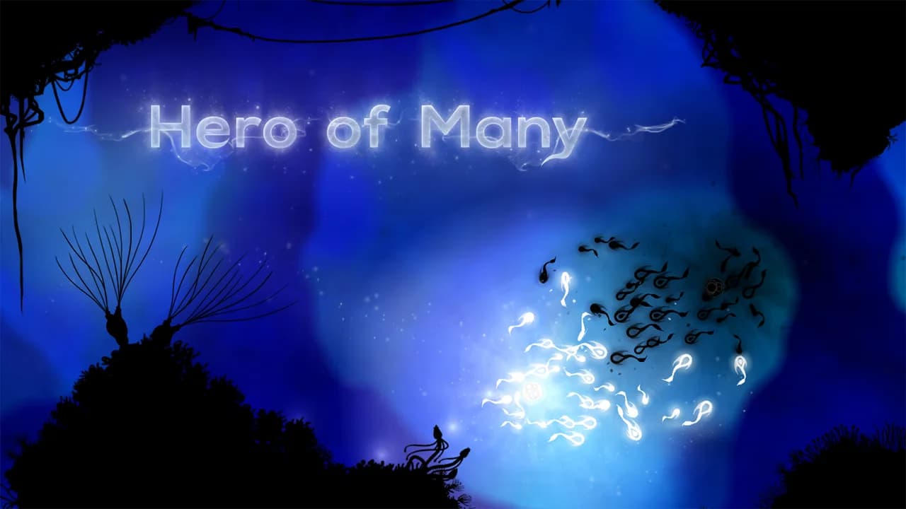 Hero of Many görsel 2