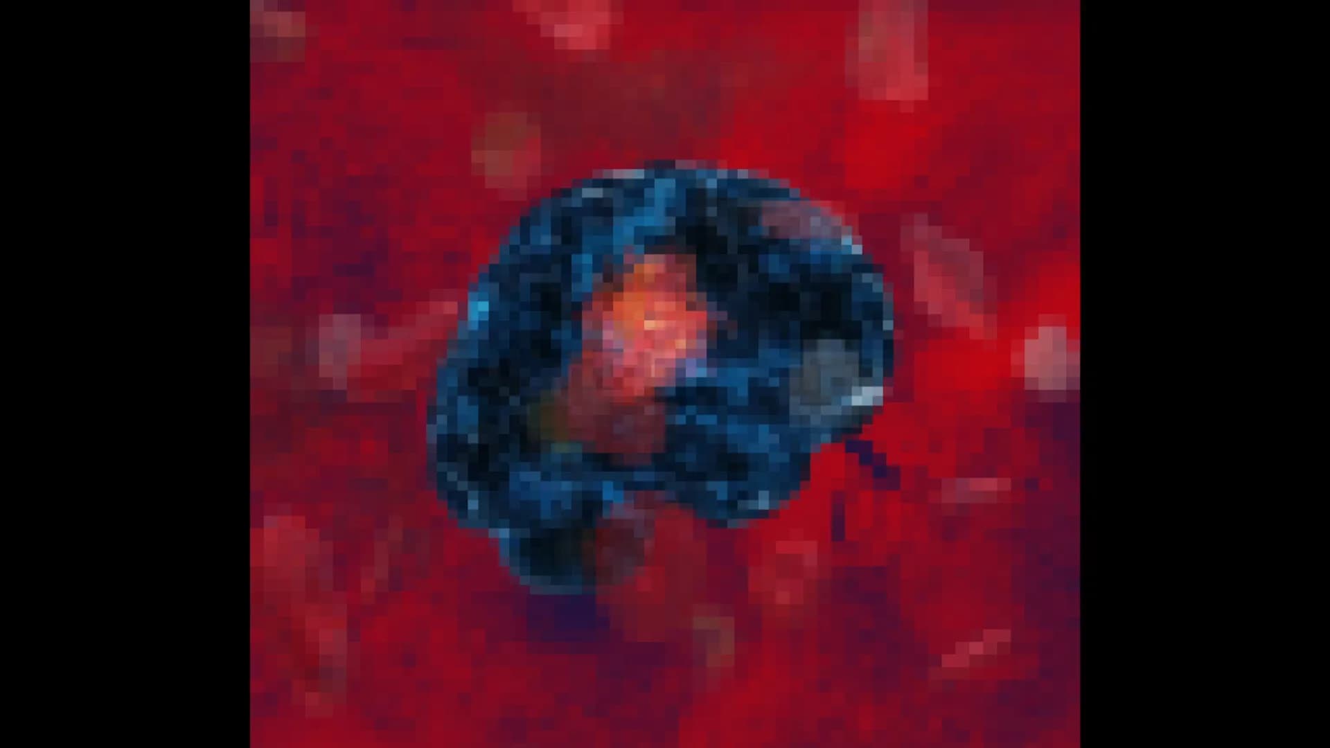 Lappelduvide görsel 3