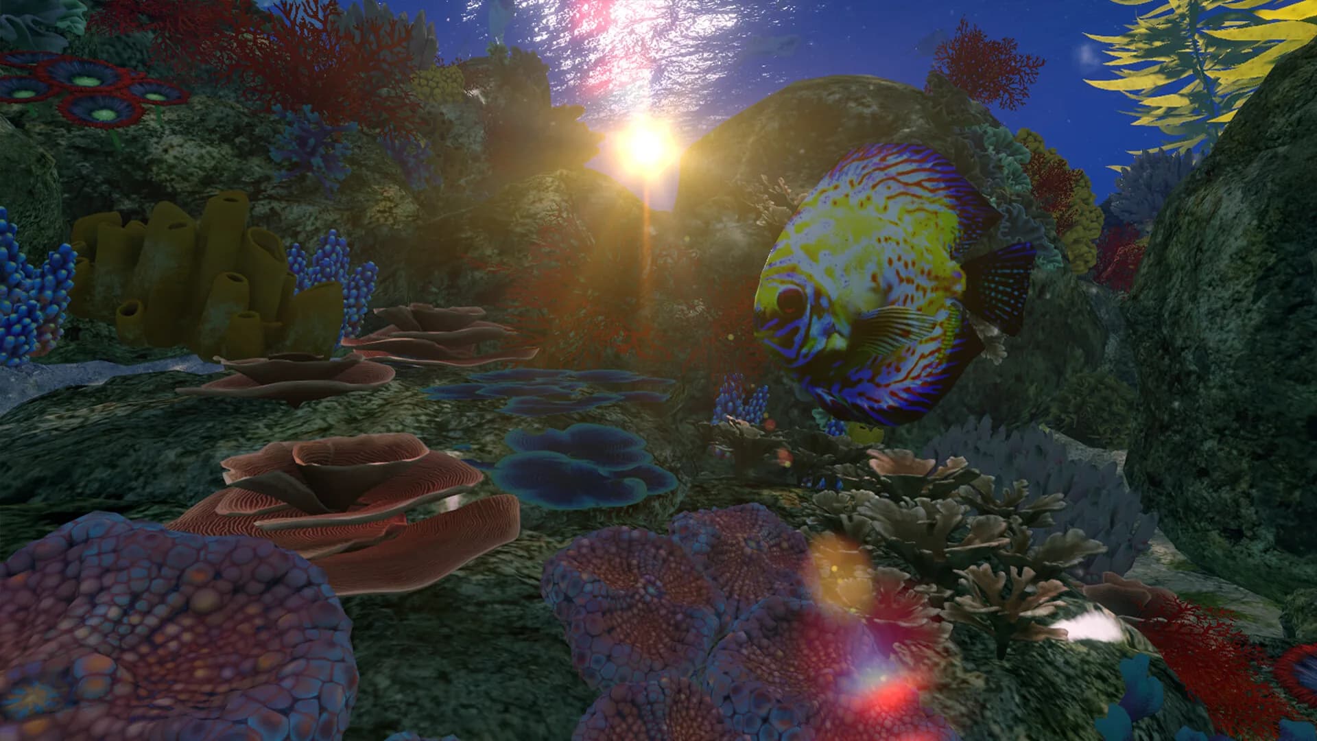 OceanScape görsel 5