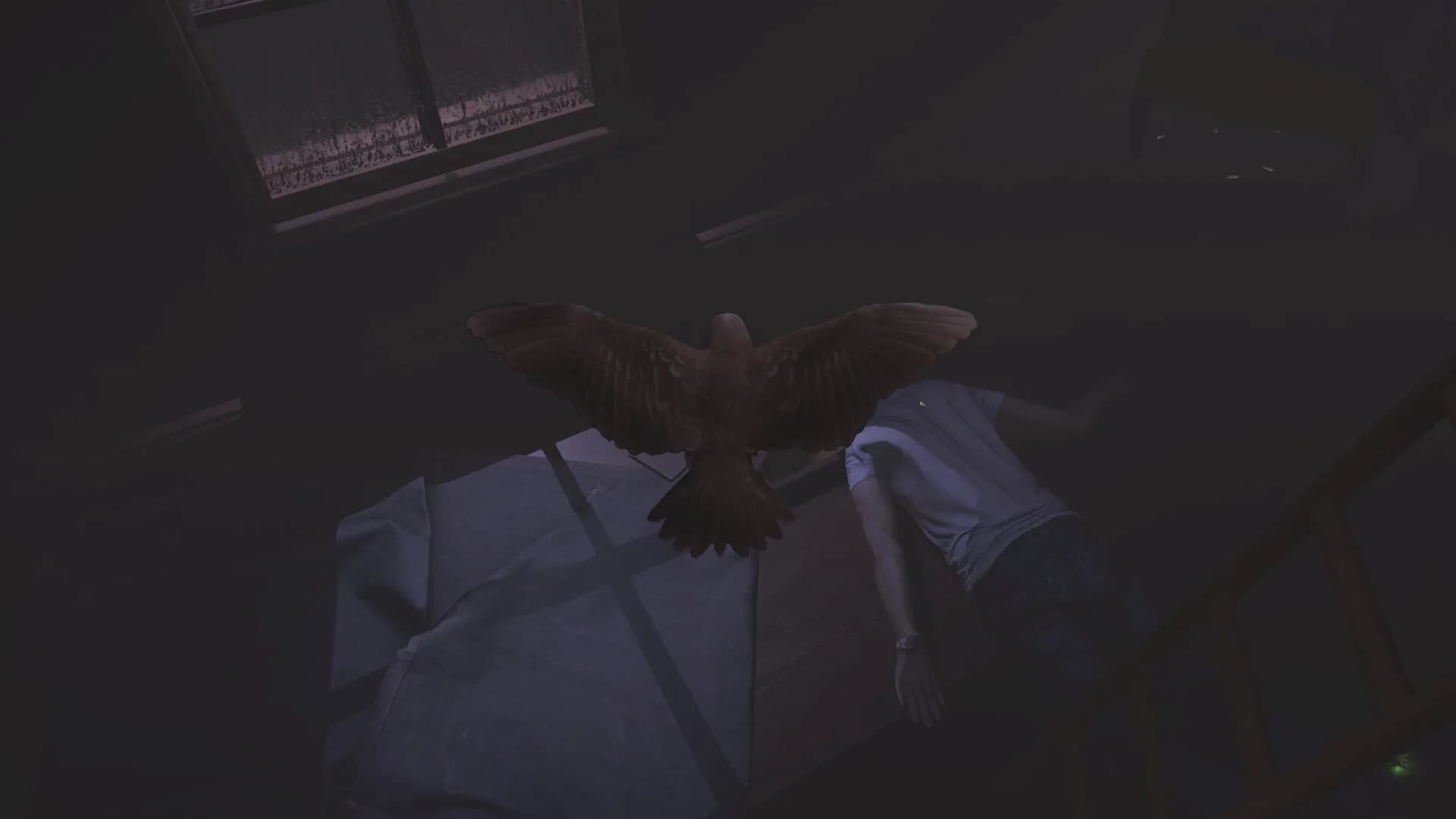 SPARROW görsel 4