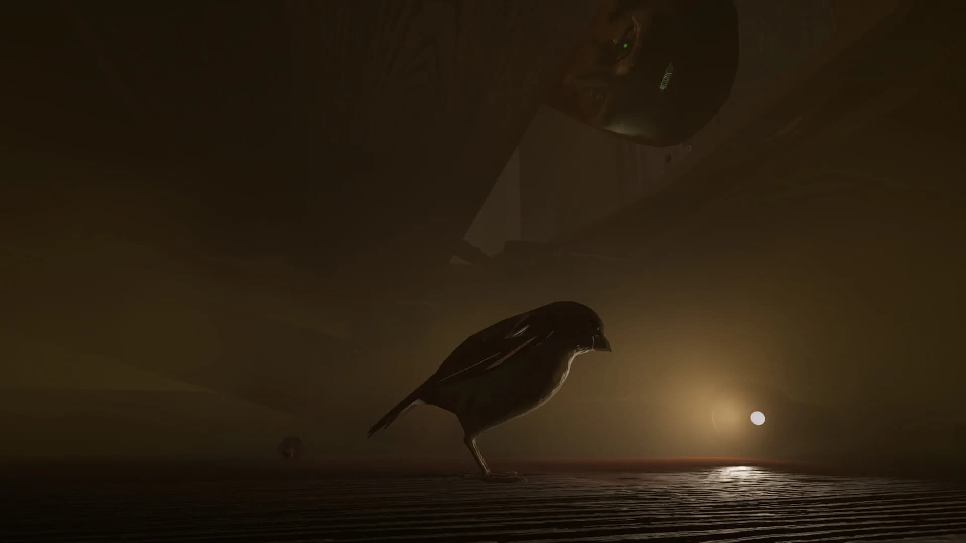 SPARROW görsel 6