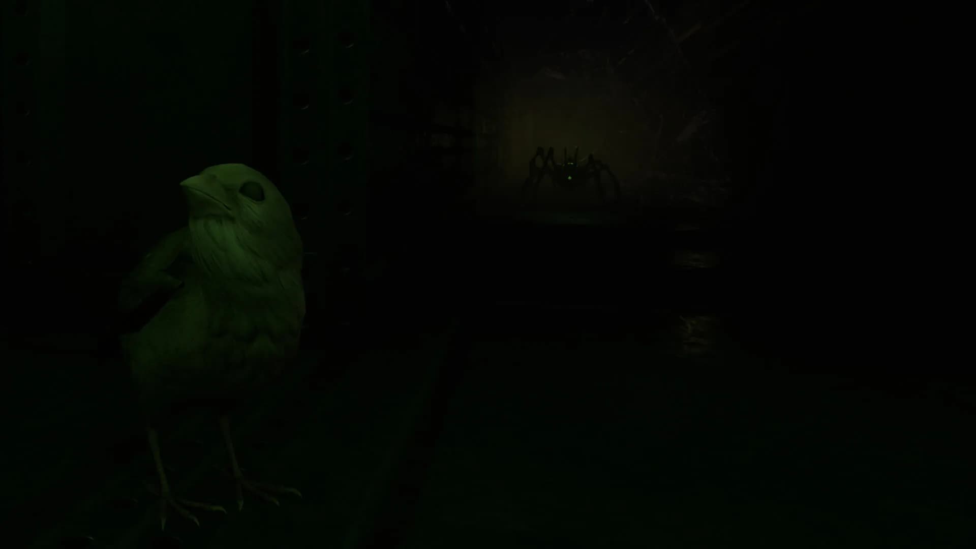 SPARROW görsel 9