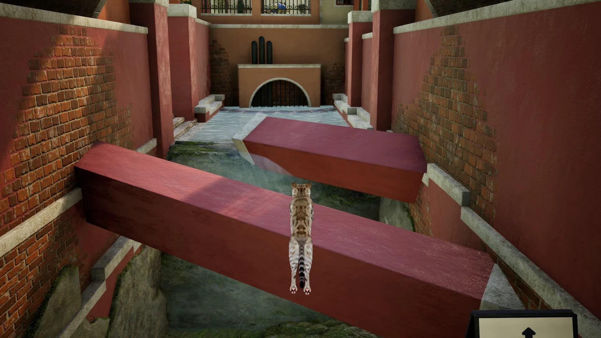 Curiosity: A Cat Climbing Game görsel 2