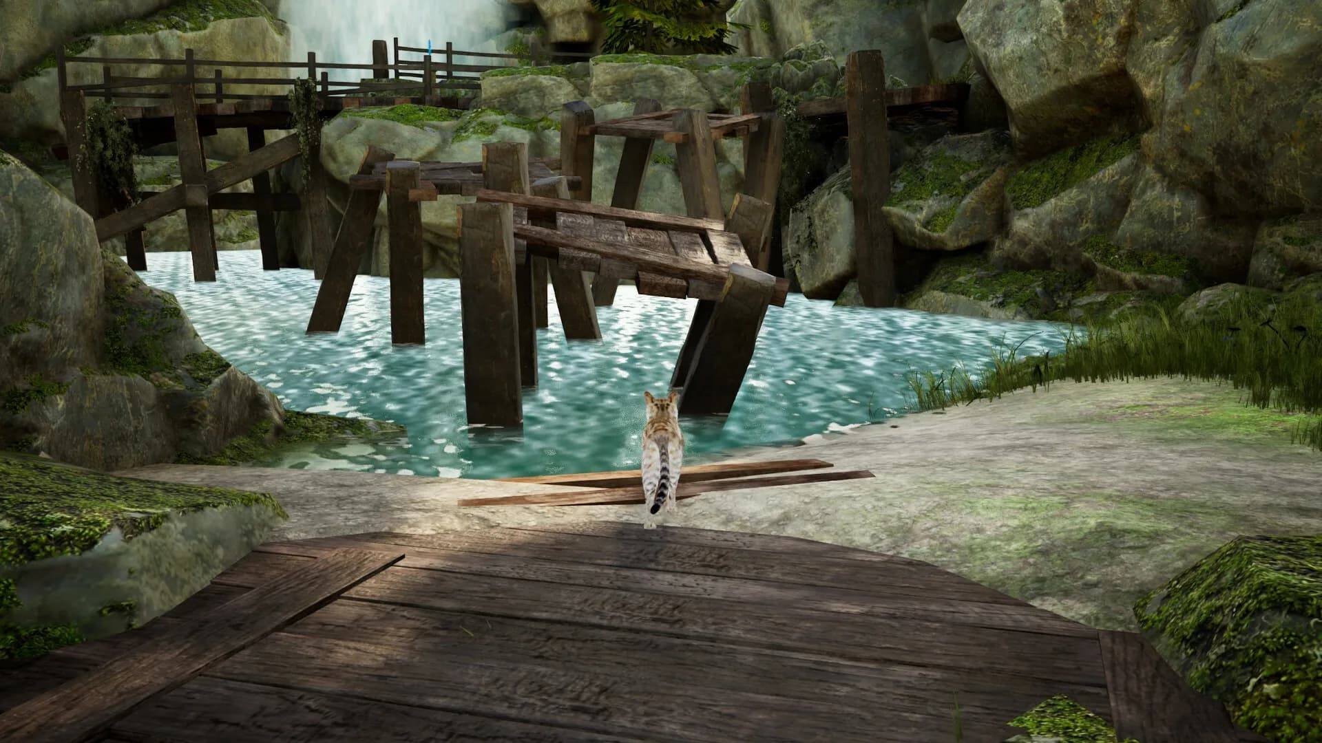 Curiosity: A Cat Climbing Game görsel 6