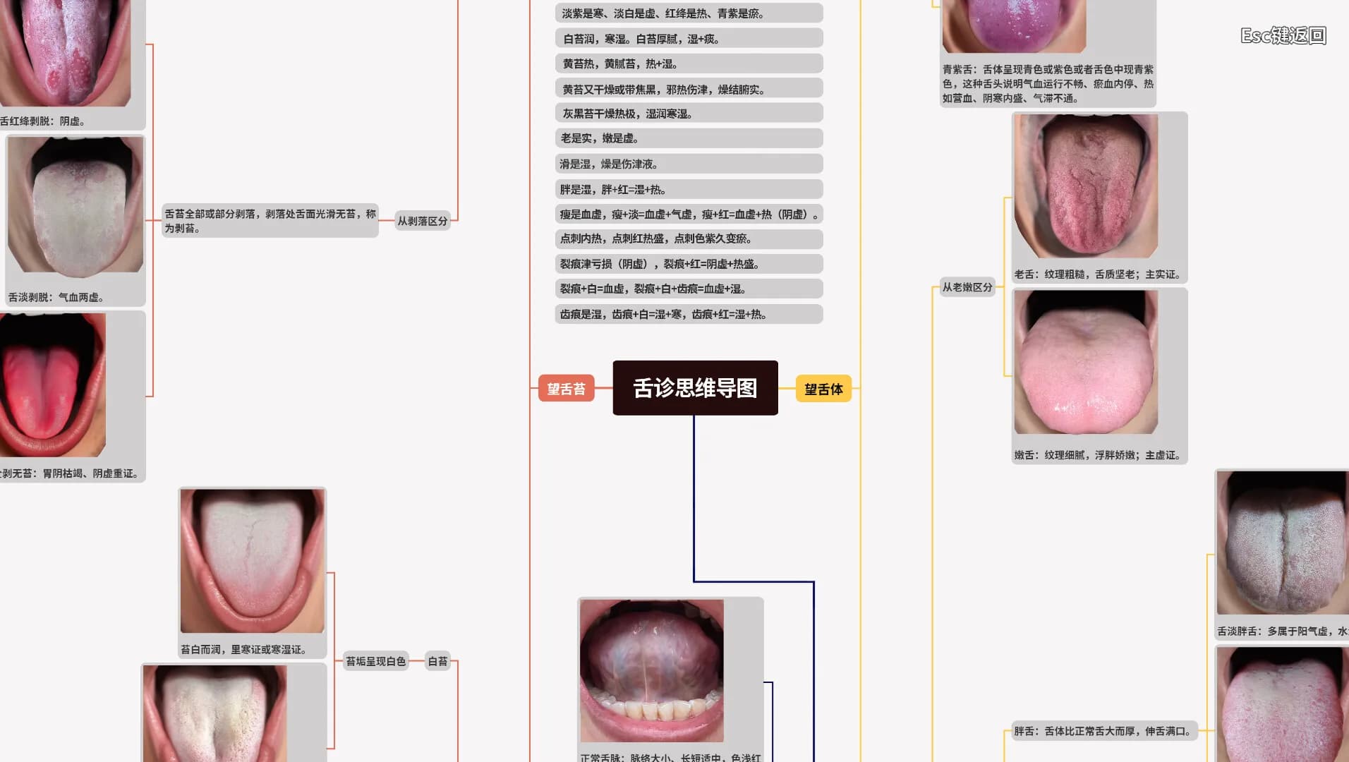 中医模拟传承人 görsel 3