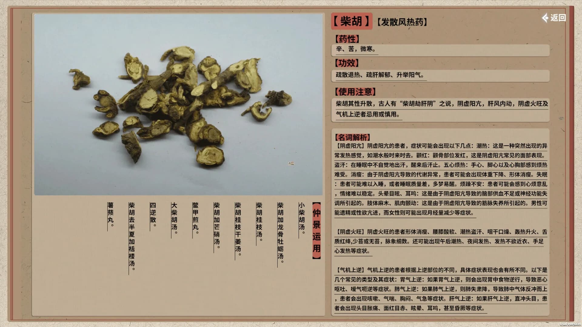 中医模拟传承人 görsel 8